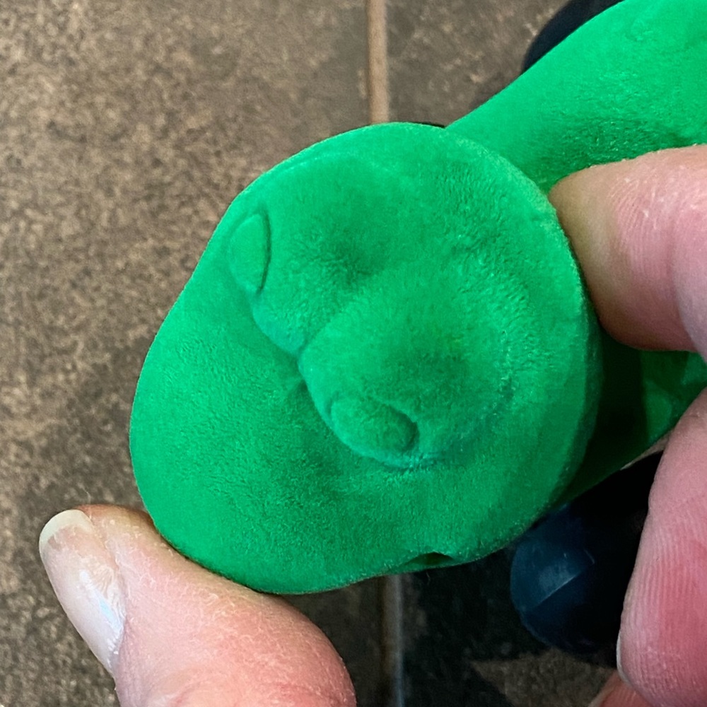 Squishy lizard car - Picture 5 of 6